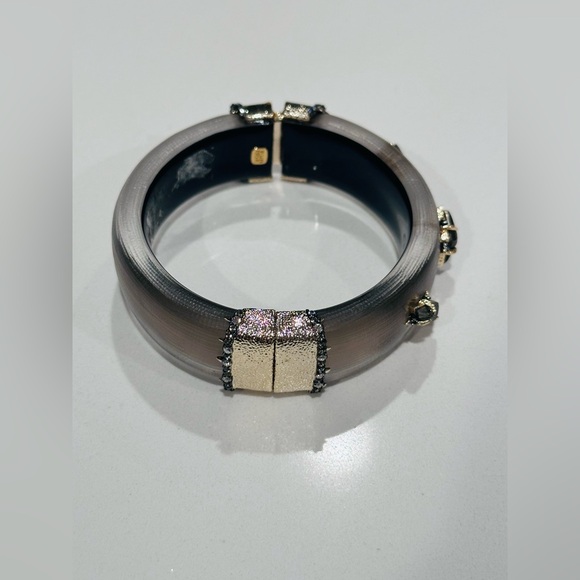 Alexis Bittar Grey Stone Studded Bracelet - Picture 5 of 11